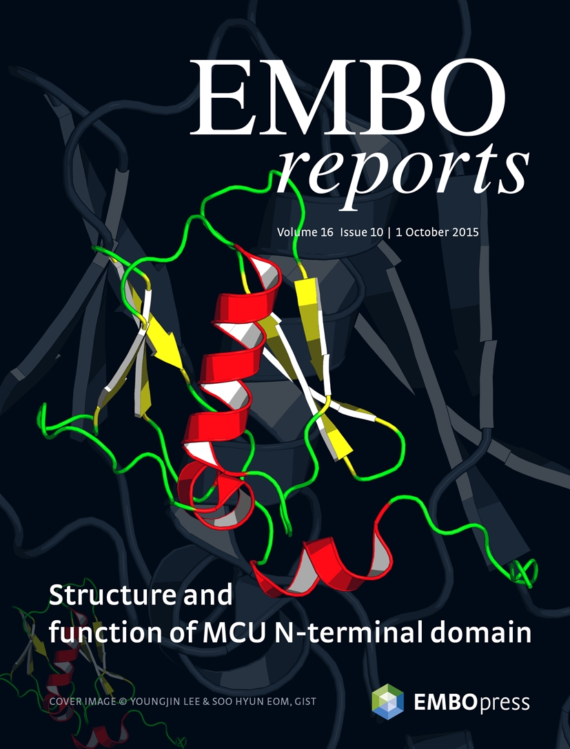 Cover of EMBO Reports, featuring study using the protocol.
