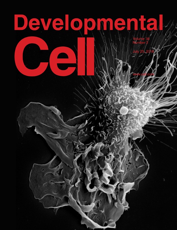 Cover of Developmental Cell, featuring study using the protocol.