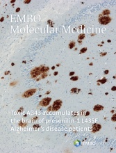 Cover of EMBO Molecular Medicine, featuring study using the protocol.