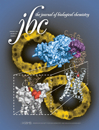 Cover of The Journal of Biological Chemistry, featuring study using the protocol.