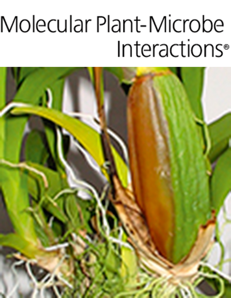 Cover of Molecular Plant Microbe Interactions, featuring study using the protocol.