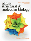 Cover of Nature Structural & Molecular Biology, featuring study using the protocol.