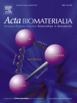 Cover of Acta Biomaterialia, featuring study using the protocol.