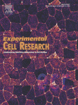 Cover of Experimental Cell Research, featuring study using the protocol.