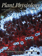 Cover of Plant Physiology, featuring study using the protocol.