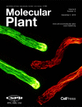 Cover of Molecular Plant, featuring study using the protocol.