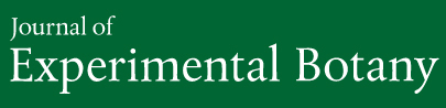 Cover of Journal of Experimental Botany, featuring study using the protocol.