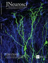 Cover of The Journal of Neuroscience, featuring study using the protocol.