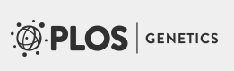 Cover of PLOS Genetics, featuring study using the protocol.