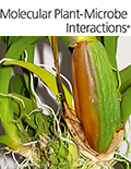 Cover of Molecular Plant Microbe Interactions, featuring study using the protocol.