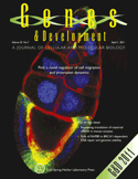 Cover of Genes & Development, featuring study using the protocol.