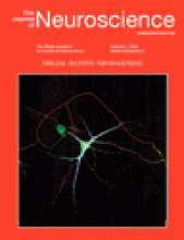 Cover of The Journal of Neuroscience, featuring study using the protocol.