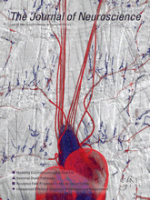 Cover of The Journal of Neuroscience, featuring study using the protocol.