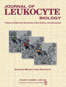 Cover of Journal of Leukocyte Biology, featuring study using the protocol.