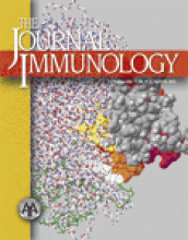 Cover of The Journal of Immunology, featuring study using the protocol.