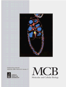 Cover of Molecular and Cellular Biology, featuring study using the protocol.