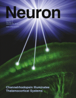 Cover of Neuron, featuring study using the protocol.
