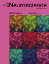 Cover of The Journal of Neuroscience, featuring study using the protocol.
