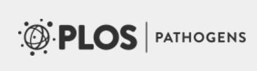 Cover of PLOS Pathogens, featuring study using the protocol.