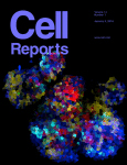 Cover of Cell Reports, featuring study using the protocol.