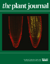 Cover of The Plant Journal, featuring study using the protocol.
