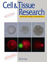 Cover of Cell and Tissue Research, featuring study using the protocol.