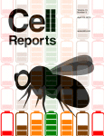 Cover of Cell Reports, featuring study using the protocol.