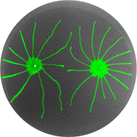 Cover of mBio, featuring study using the protocol.
