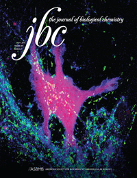 Cover of The Journal of Biological Chemistry, featuring study using the protocol.