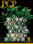 Cover of Plant Cell Physiology, featuring study using the protocol.