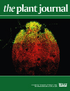 Cover of The Plant Journal, featuring study using the protocol.