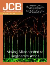 Cover of The Journal of Cell Biology, featuring study using the protocol.