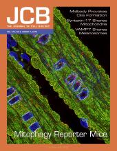 Cover of The Journal of Cell Biology, featuring study using the protocol.