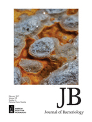 Cover of Journal of Bacteriology, featuring study using the protocol.