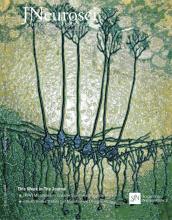 Cover of The Journal of Neuroscience, featuring study using the protocol.
