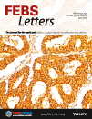 Cover of FEBS Letters, featuring study using the protocol.