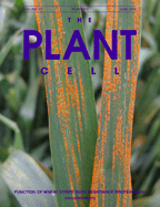 Cover of The Plant Cell, featuring study using the protocol.