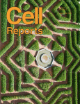 Cover of Cell Reports, featuring study using the protocol.