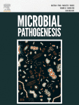 Cover of Microbial Pathogenesis, featuring study using the protocol.