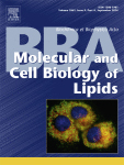 Cover of Biochimica et Biophysica Acta, featuring study using the protocol.