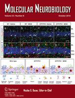 Cover of Molecular Neurobiology, featuring study using the protocol.