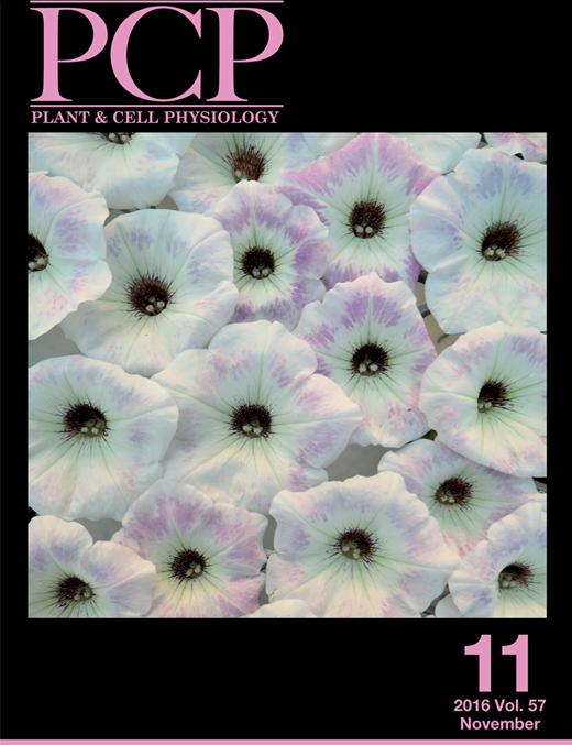 Cover of Plant Cell Physiology, featuring study using the protocol.