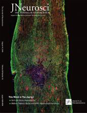 Cover of The Journal of Neuroscience, featuring study using the protocol.