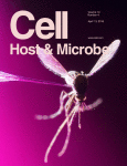 Cover of Cell Host & Microbe, featuring study using the protocol.