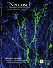 Cover of The Journal of Neuroscience, featuring study using the protocol.