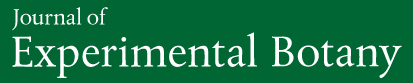 Cover of Journal of Experimental Botany, featuring study using the protocol.