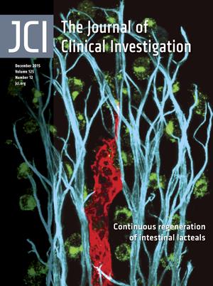 Cover of The Journal of Clinical Investigation, featuring study using the protocol.