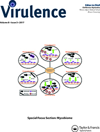Cover of Academic Radiology, featuring study using the protocol.