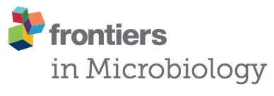 Cover of Frontiers in Microbiology, featuring study using the protocol.