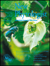 Cover of New Phytologist, featuring study using the protocol.